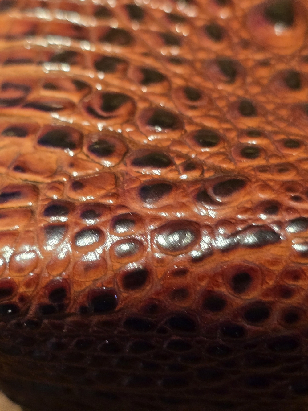 Brahmin Chestnut Croc-Embossed Leather Purse with Signature Gold Medallion - Picture 13 of 13
